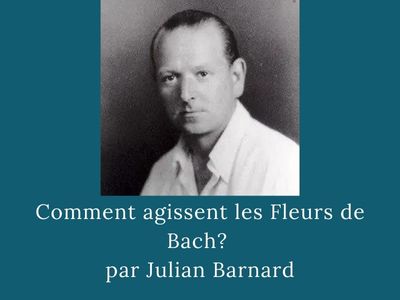 comment_agissent_les_fleurs_de_bach_julian_barnard