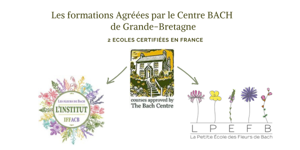 apprendre_formations_agrees_certifiees_france_ centre_bach_fleurs_de_bach