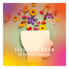 charge_mentale_blog_instagram_mes_fleurs_de_bach_5