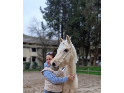 caroline-martinsse-chevaux-fleurs-de-bach-stress-emotions-deprime-anxiete-animal