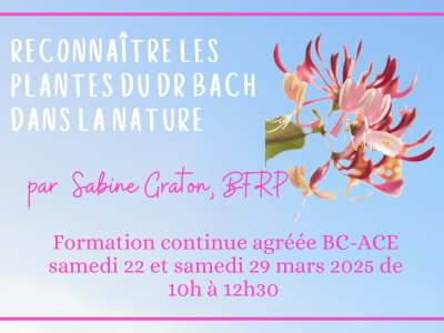 botanique-fleurs-bach-stress-emotion-rescue-antistress-soin-naturel-deprime-sommeil-therapie