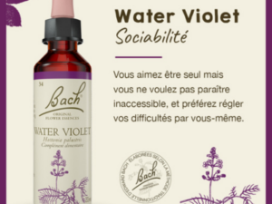 water_violet_isolement_deprime_angoisse-fleur_de_bach_elixir_floraux