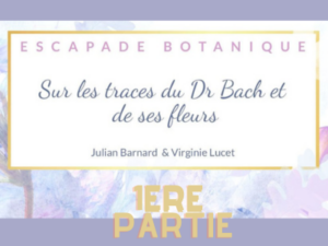 julien_barnard_quiz_fleurs_de_bach_virginie_lucet-1