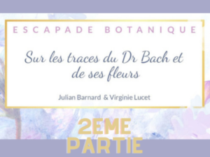 julien_barnard_quiz_fleurs_de_bach_virginie_lucet-2