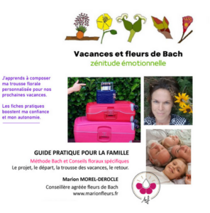 vacances-fleurs-de-bach-mal-transport-stress-emotions-depart