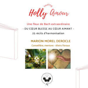 holly-amour-colere-emotions-stress-depression-haine-jalousie-violence