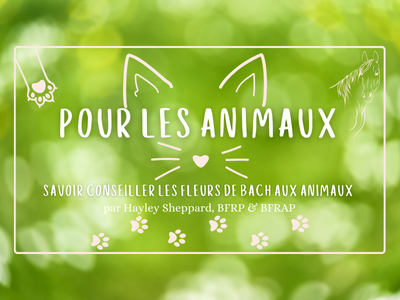 animaux-fleurs-de-bach-formation-chien-chat-cheval-remede-naturel-anti-stress-hayley-sheppard