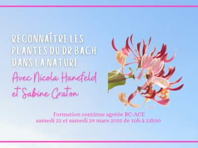 botanique-fleurs-bach-stress-emotion-rescue-antistress-soin-naturel-deprime-sommeil-therapie-hanefeld-graton