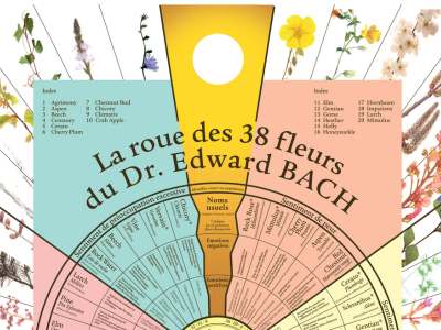 formations-fleurs-de-bach-gerer-emotion-produits-naturel-centre-bach-stress-ecole-cours-conseiller-bfrp