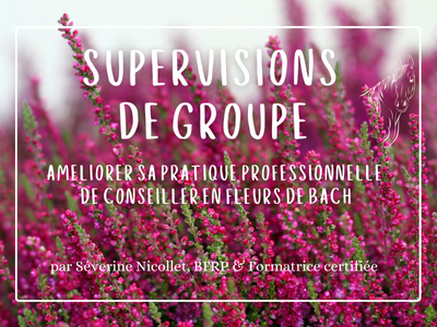 supervision-fleurs-de-bach-groupe-severine-nicollet-anti-stress-remede-naturel-maigrir-menopause-formations