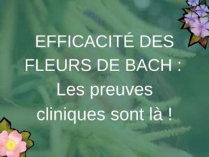 efficacite-fleurs-de-bach-mathilde-juan-stress-sommeil-depression-maigrir-perte-de -poids-menopause-remedes-naturels