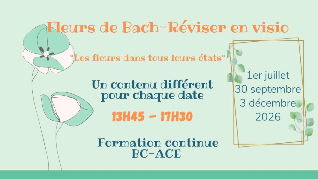 formation-fleurs-de-bach-intervision -STRESS-BURN-OUT-PREVENTION-BURN-OUT-DEPRIME-DEPRESSION-RISQUES-SOCIAUX-PROFESSIONNELS