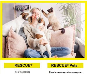 rescue-pets-animaux-emotions-chien-chat-stress