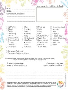 bloc-conseil-fleurs-de-bach-emotions-stress-angoisse-2024