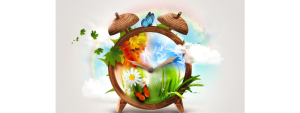 fleur-de-bach-saisons-emotions-stress-sommeil-insomnie-maigrir-bun-out-hypersensible