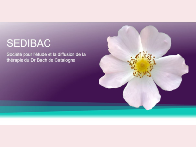 SEDIBAC-ricado-orozco-formation-centre-bach-fleurs-de-bach-equipe-boutique-acheter-fleur-de-bach-avis-anti-stress-naturel