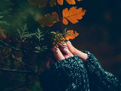 fleurs-bach-deprime-automnale