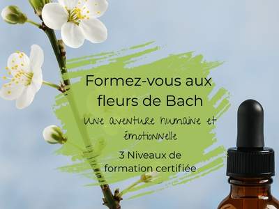 formation-centre-bach-fleurs-de-bach-equipe-boutique-acheter-fleur-de-bach-avis-anti-stress-naturel