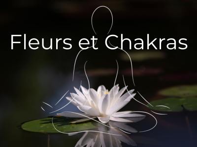 Fleur-de-bach-chakras-vibratoire-spiritualite-masterclass-mathilde-juan