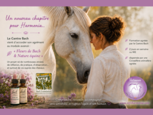 harmonia-chevaux-nadine-colet-bfrap-cheval-fleurs-de-bach