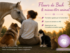 harmonia-animal-colet-nadine-fleurs-de-bach-cheval-chien-chat