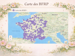 carte-des-bfr-heather-fleurs-de-bach-solitude-besoin-attention-emotions-accompagnement-flacon-personnalise-bien-etre-naturel-equilibre.jpg