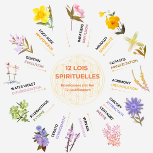 12-Lois-spirituelles-carree-dr-bach