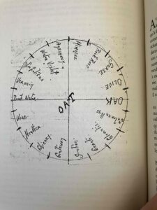 meditation-impatiens-mathilde-juan-fleur-de-bach-spirituel-bach-schema-roue-19
