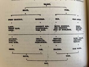meditation-impatiens-mathilde-juan-fleur-de-bach-spirituel-bach-schema