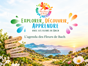 AGENDA-FLIPBOOK-FLEURSDEBACH
